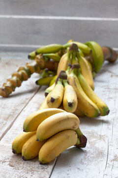 Banana tree (Musa paradisiaca) and bunch of bananas on white wooden table, studio shot
