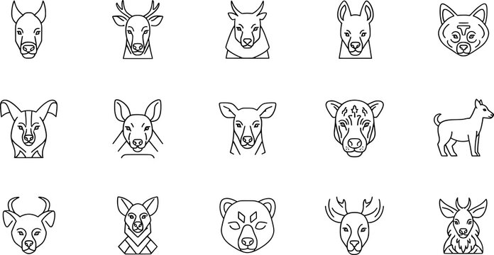 Animal head icon collection, wildlife and nature concept, minimal black line vector illustration showing deer, wolves, bears, and big cats
