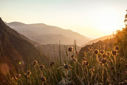 Greece, Peloponnese, Elis, Hills at sunset near Figalia