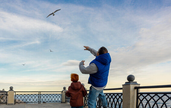 Father and boy feeding a flying seagull at the beach embankment