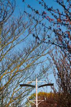 Decorative outdoor lantern hanging among tree branches with spring foliage under blue sky