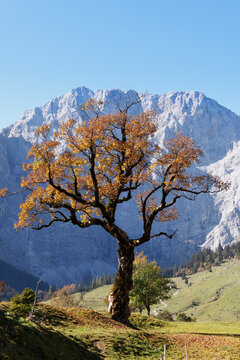Austria, Tyrol, View of Karwendel Mountains in autumn