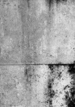 Large vector halftone grungy texture with a transparent background
