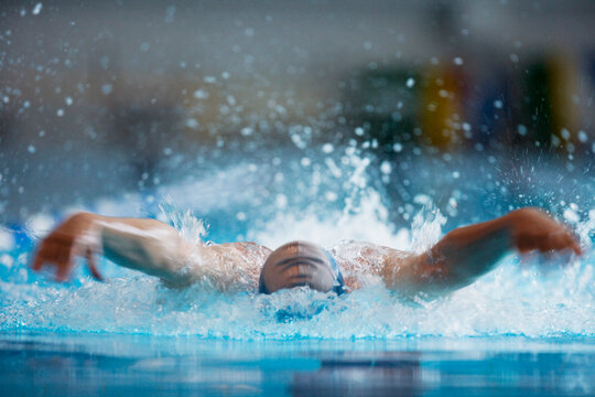 Swimmer dolphin butterfly stroking