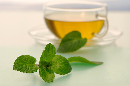 Cup of peppermint tea, close-up