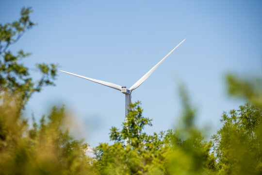 A modern wind turbine generating clean renewable energy rises behind lush green evergreen trees and forest bushes under a bright blue summer sky with a single cloud.