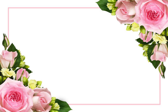 Pink rose flowers in a corner floral arrangements with a frame isolated on white or transparent background