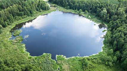 Naklejka premium Aerial perspective of wild pond in green summer Polish woodland.