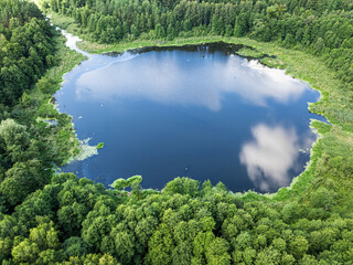 Naklejka premium Drone view: Small pond hidden in a wild Polish forest.