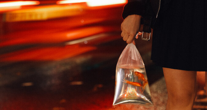 a woman holding a bag of water and fish in it