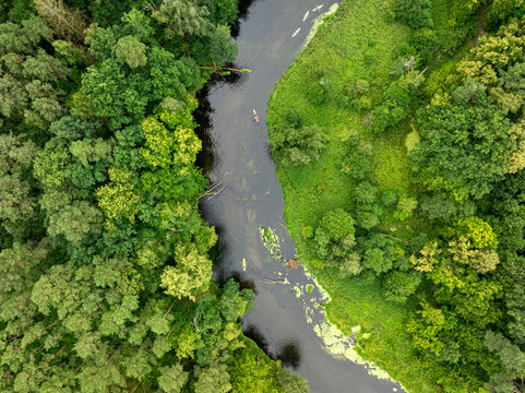 Overhead view of kayakers on a wild river in Poland.