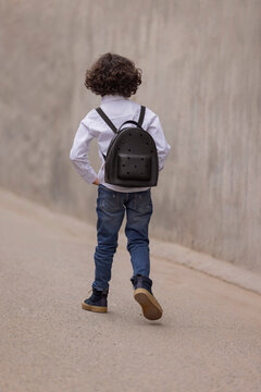 Back view of little school boy walking down the street to school