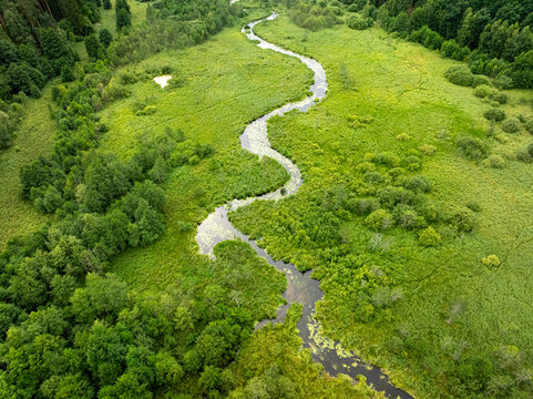 Drone view of curvy river threading through green summer forest.