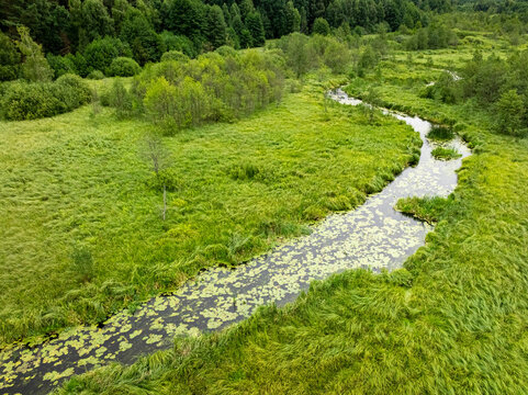 Aerial view of twisting river amidst green summer foliage, Poland.