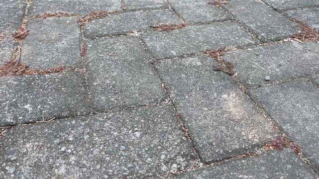 Old textured stone paving block walkway with dry autumn leaves