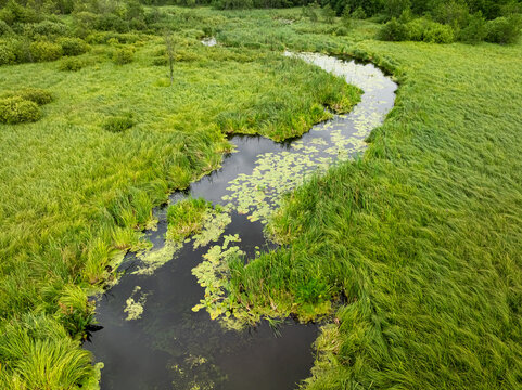Winding river surrounded by green trees in summer, Polish aerial.
