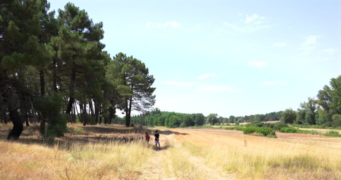 Two hikers walk through grassy meadow under pine tree canopy