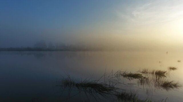 Aerial view of a river shrouded in thick morning fog during sunrise with reeds visible in the water in Russia.