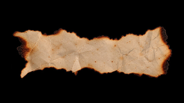 Burnt Paper Elements