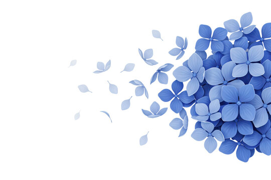 Cluster of blue hydrangea flower petals floating on a soft white background, isolated on a, transparent background