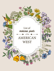 Obraz premium Medicinal herbs of American West vector