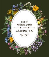Obraz premium Medicinal herbs of American West vector
