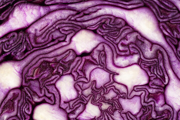 Obraz premium Background of the blue cabbage in the cut, macro photography. Texture raw purple cabbage, top view.