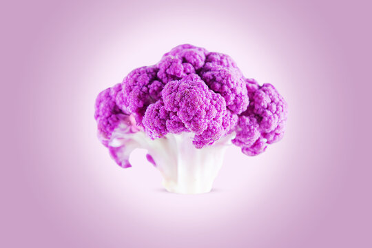 Fresh purple cauliflower on a gradient background.