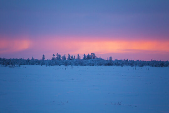 Beautiful pink  sunset in the Arctic. View of snow-covered tundra. Winter Arctic landscape.