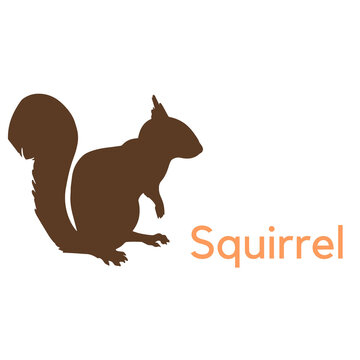 Squirrel logo