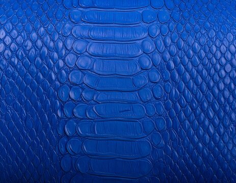 Close-up of vibrant blue snake skin pattern, showing scales and texture details