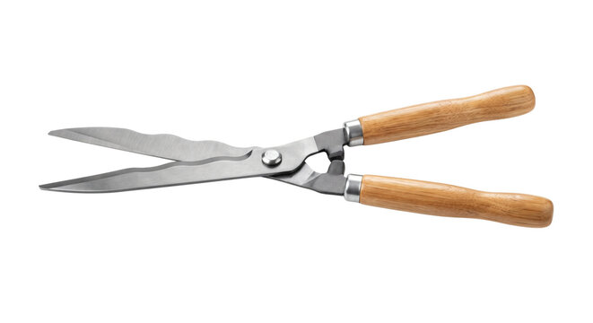 Metal hedge shears with wooden handles for gardening