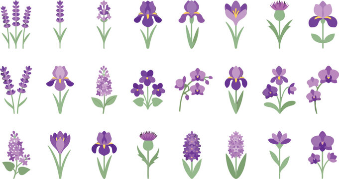 Set of purple flower icons featuring lavender iris orchid and lilac in a flat vector illustration style