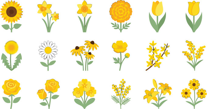 Set of yellow flowers in flat vector style for spring garden design and botanical illustration projects