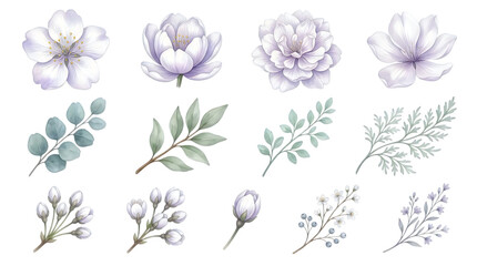 Fototapeta premium Watercolor floral illustration set with blooming flowers and botanical leaves on white background
