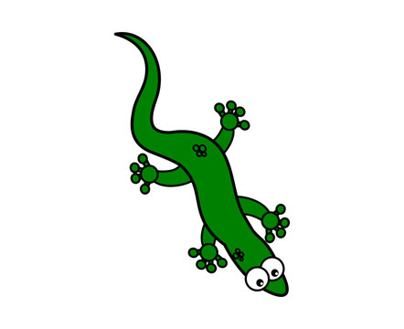 A green lizard with big eyes on a white background - vector