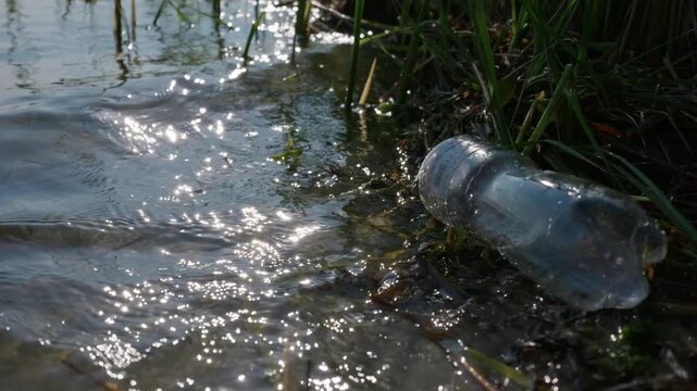 A clear plastic bottle floats in shallow lake water reflecting bright sun glare by grassy shorelines. Concept of environmental pollution, plastic waste impact, and freshwater contamination.
