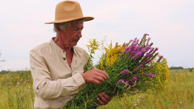 A man gathers different medicinal herbs in a field. He holds a bundle of colorful plants in his hands. It is daylight with a clear sky