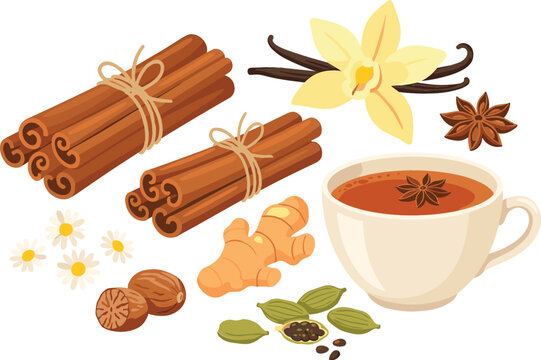 Aromatic spices and herbal tea vector illustration collection featuring cinnamon sticks, vanilla flower, ginger root, star anise, cardamom pods, nutmeg, and a warm cup.