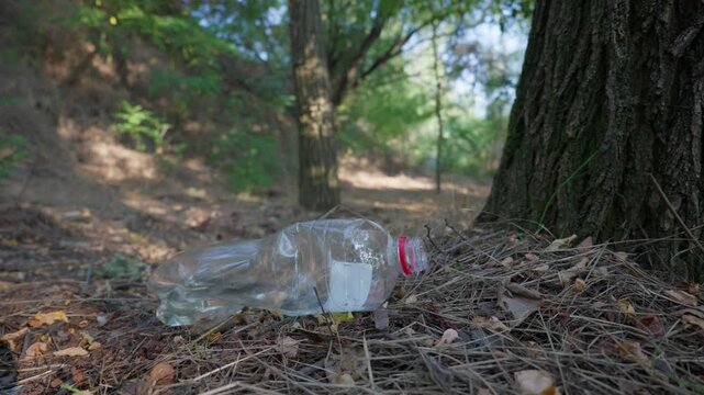 A discarded transparent plastic bottle rests on dry pine needles by a tree base on a forest trail. Concept of environmental pollution, forest littering, and ecology crisis.