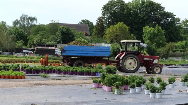 Red tractor with blue trailer parked at a plant nursery on a sunny day