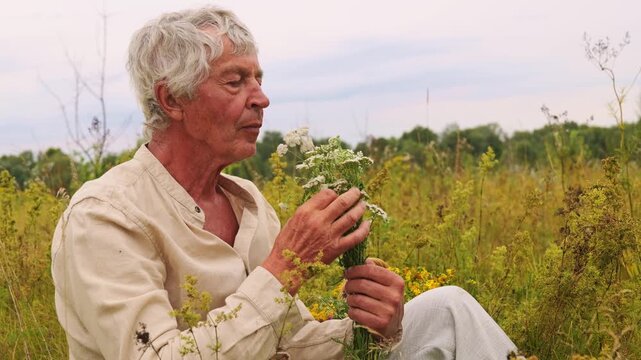 An older man collects various medicinal herbs while sitting in a field surrounded by green plants and flowers on a sunny day
