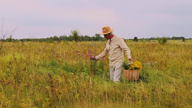 A person walks through a field holding a basket filled with various herbs. The sun is setting, and the landscape shows a mix of plants and flowers