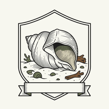 Engrave of Vintage seashell illustration inside an ornate shield frame with a blank ribbon banner. EPS Editable. Vector Illustrations.