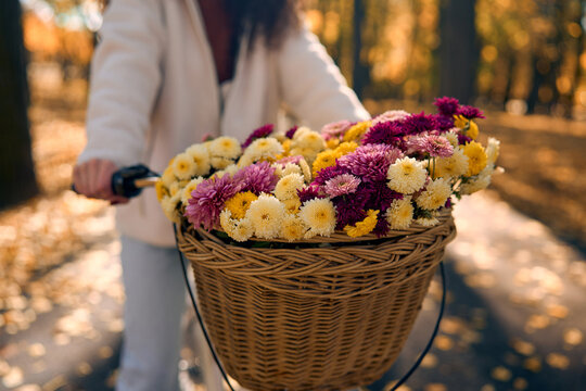 Bicycle basket filled with autumn flowers.