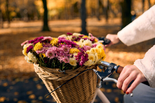 Colorful flower basket on a bicycle in an autumn park.