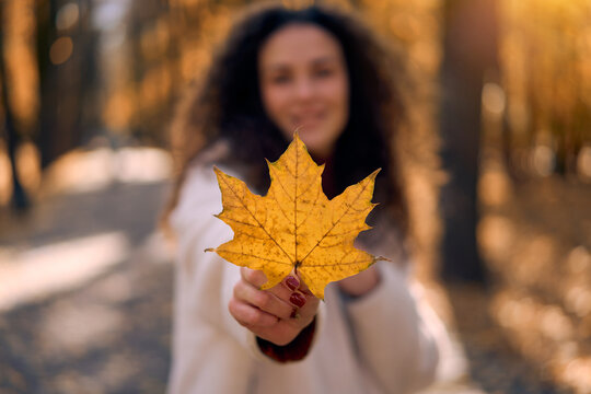 Young woman holding a golden maple leaf in a sunny autumn park.