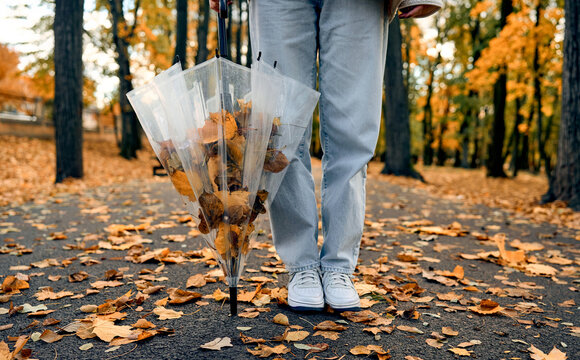 Person carrying a leaf-filled umbrella in an autumn park