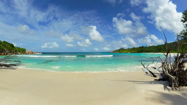 A large piece of driftwood on a tropical beach with turquoise waves rolling onto the shore. Seychelles, La Digue. Anse Cocos.