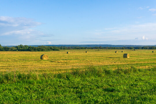 agricultural field with hay bales on a sunny summer day